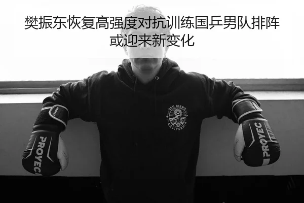 樊振东恢复高强度对抗训练国乒男队排阵或迎来新变化